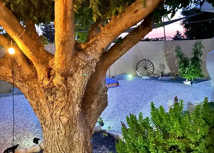 Camping Nefeli's Dollhouse Caravan 3 Minutes From *